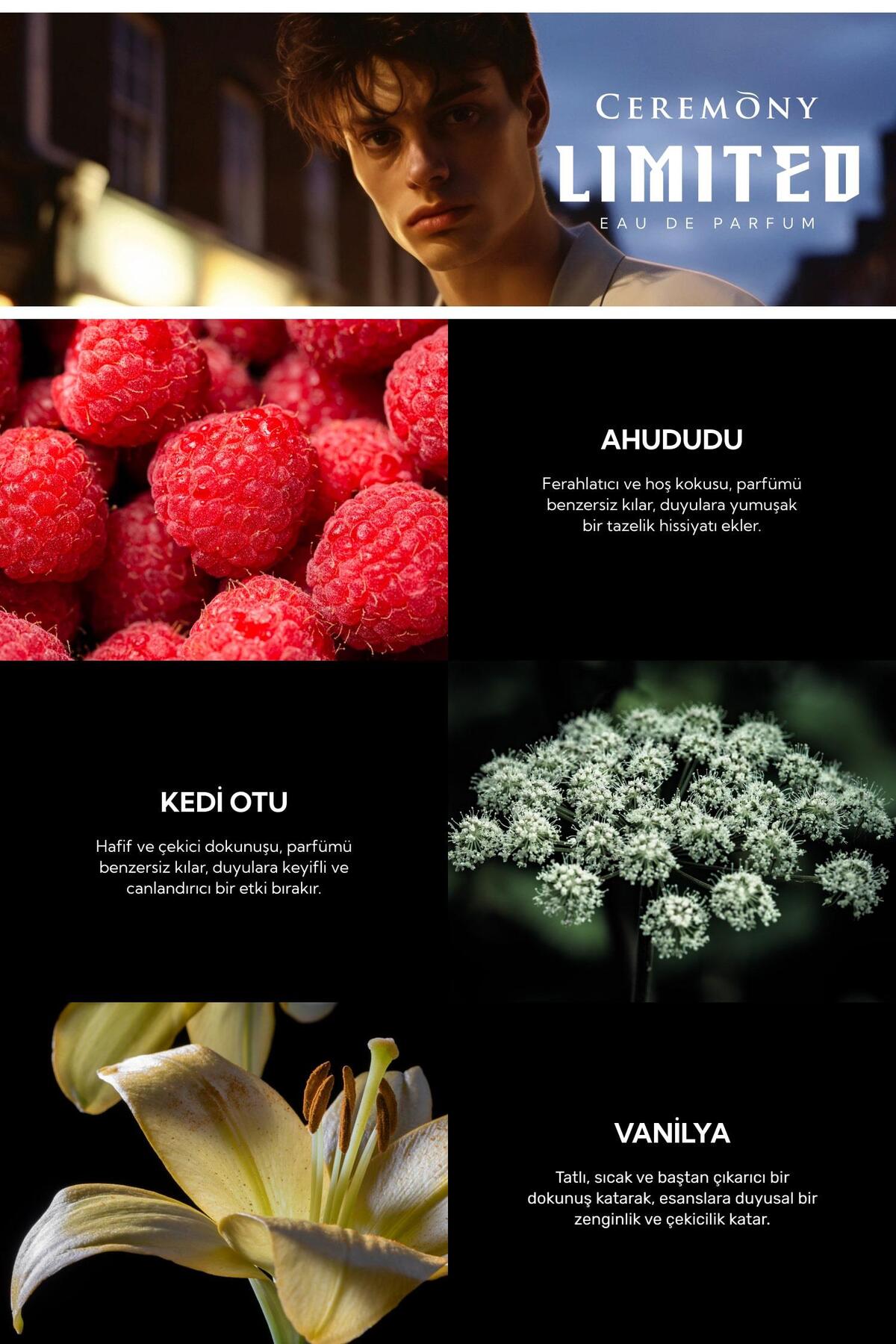 Limited 50 ml Edp Erkek Parfüm