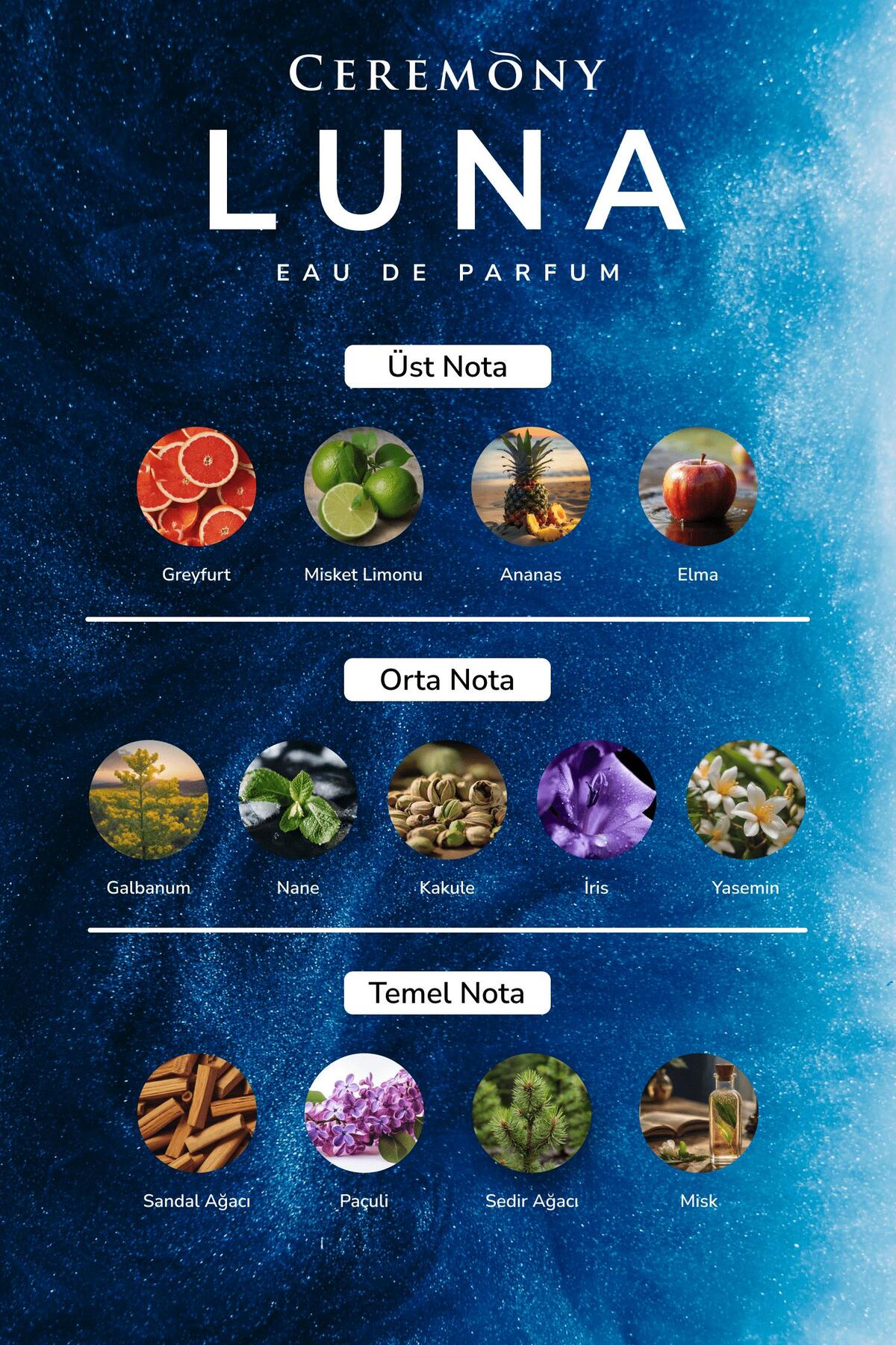 Luna 50 ml Edp Erkek Parfüm