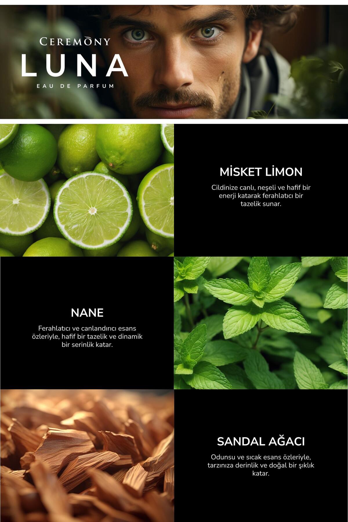 Luna 50 ml Edp Erkek Parfüm