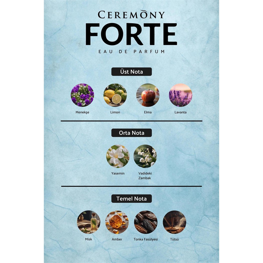 Forte 50 ml Edp Erkek Parfüm
