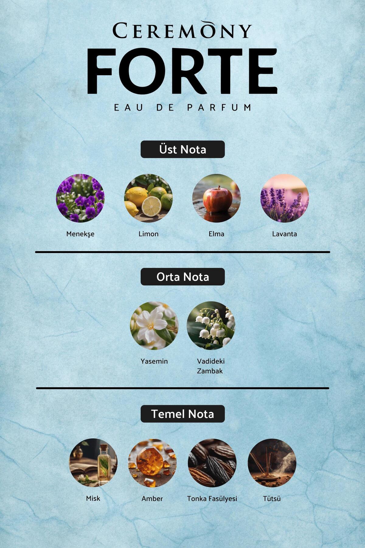 Forte 50 ml Edp Erkek Parfüm