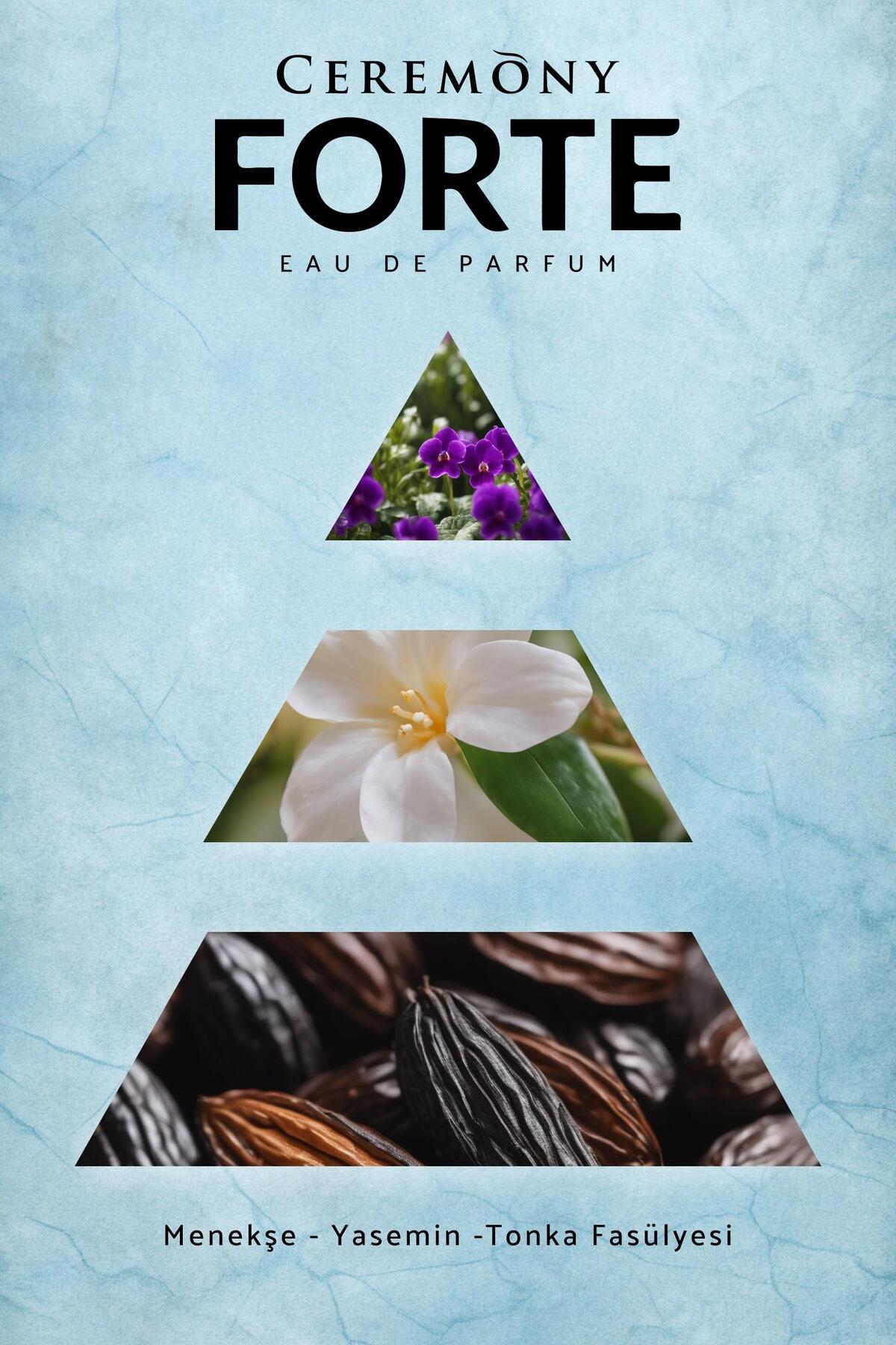 Forte 50 ml Edp Erkek Parfüm