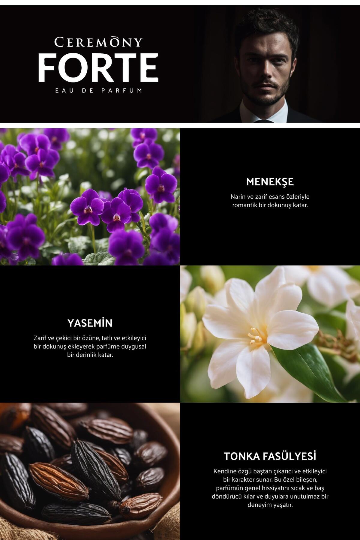 Forte 50 ml Edp Erkek Parfüm