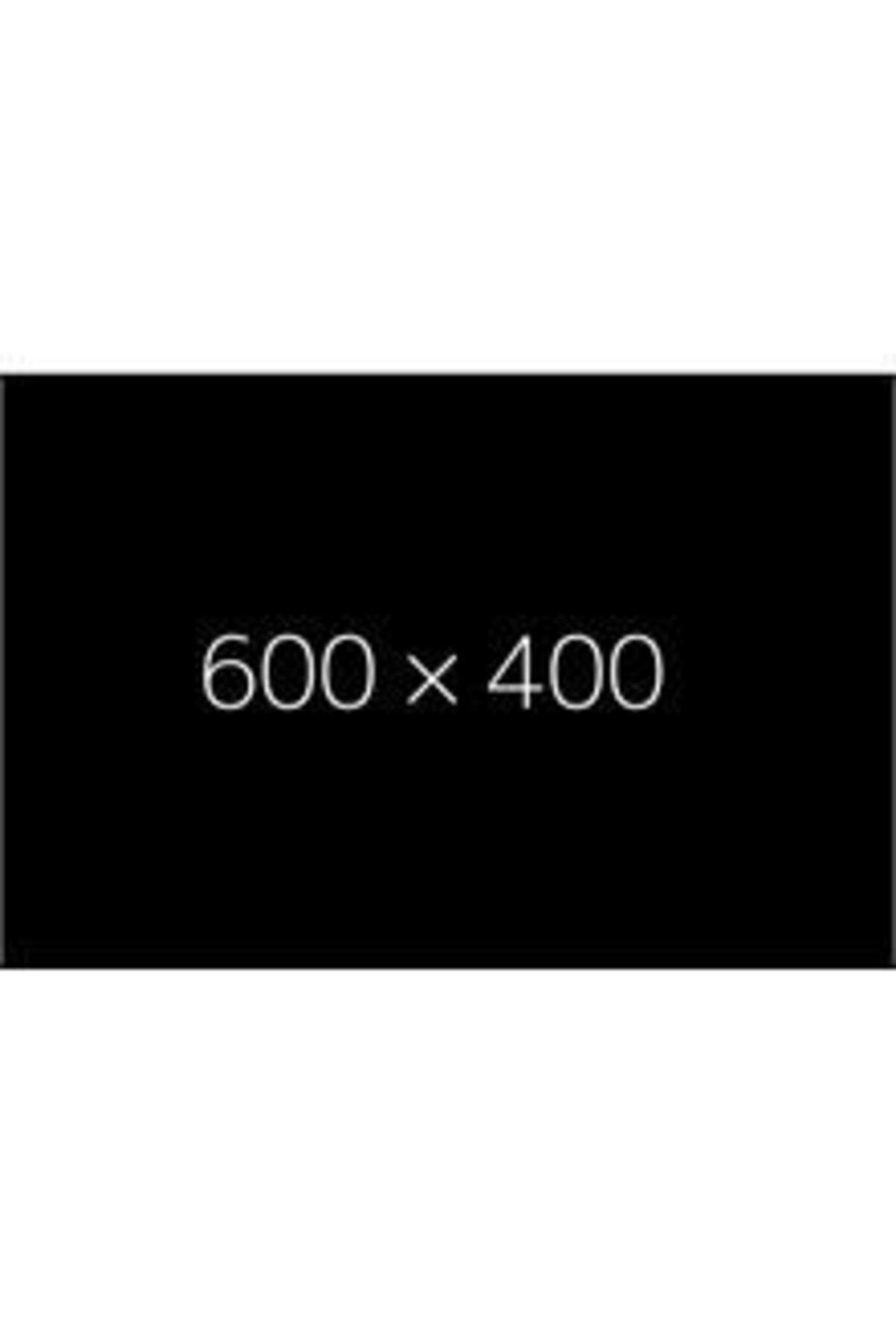 Şampuan Klasik 100 ml