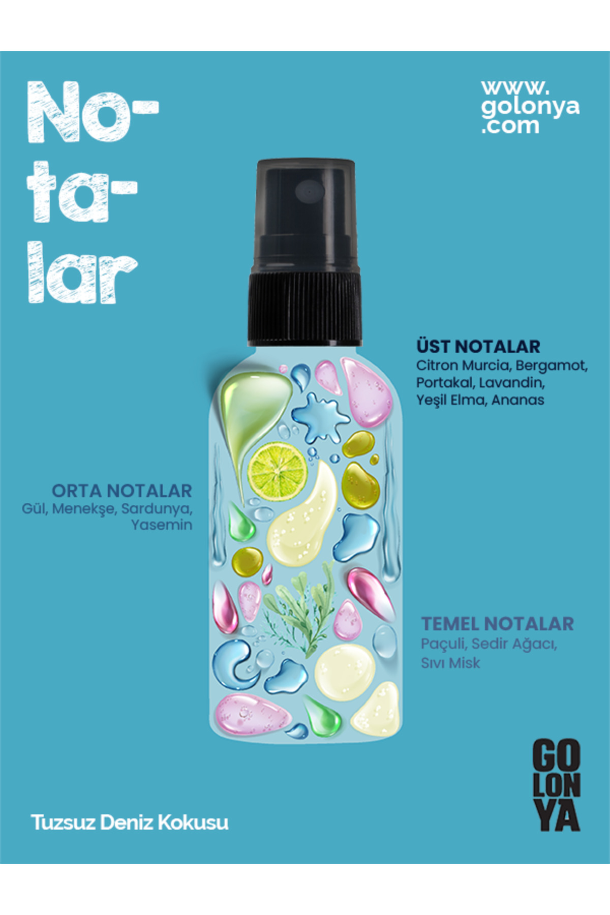 Golonya 100 Ml Sprey Aqua Plastik Şişe
