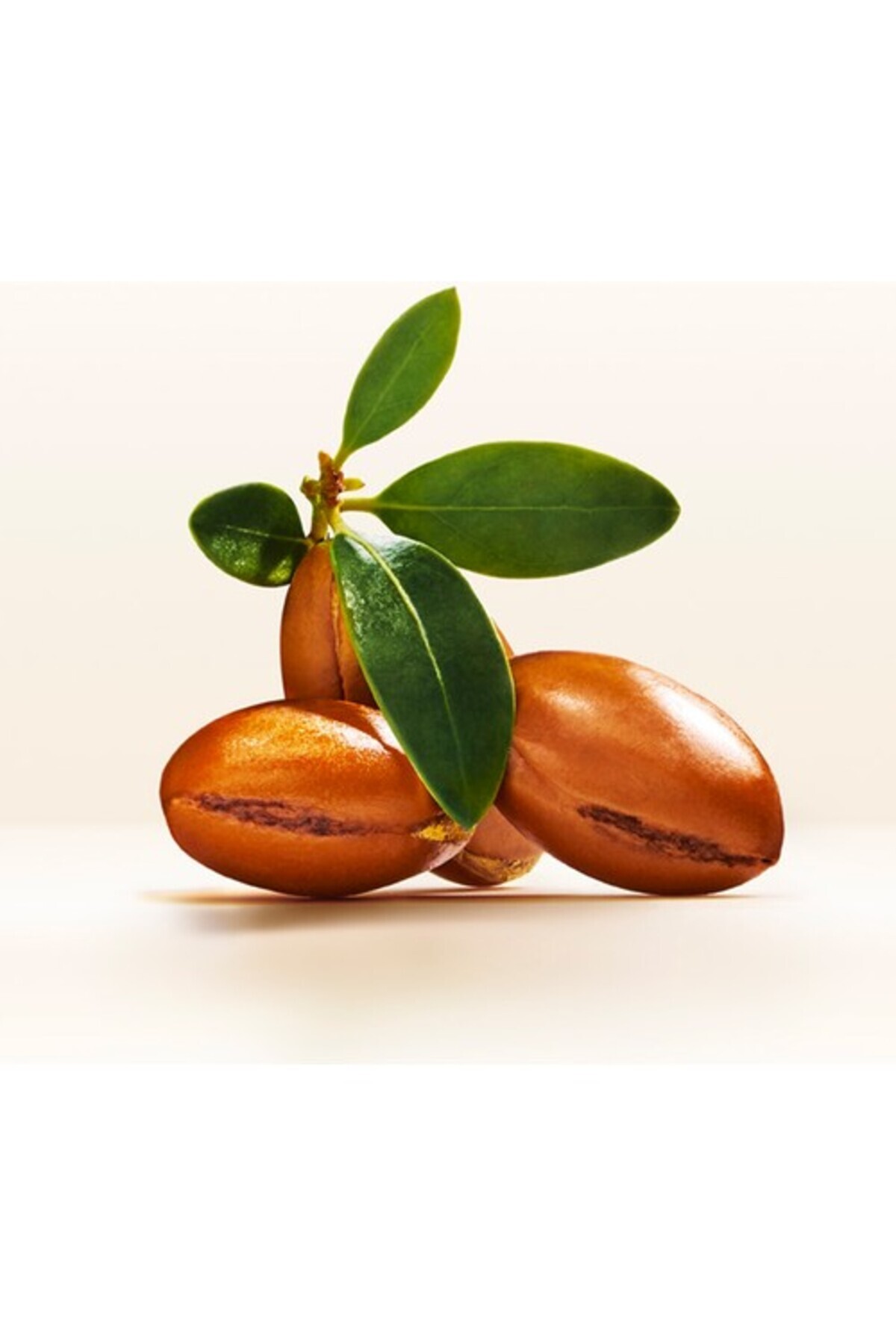 Doğal Sentez Argan Yağlı Elixir Yağ Terapisi 100 ml