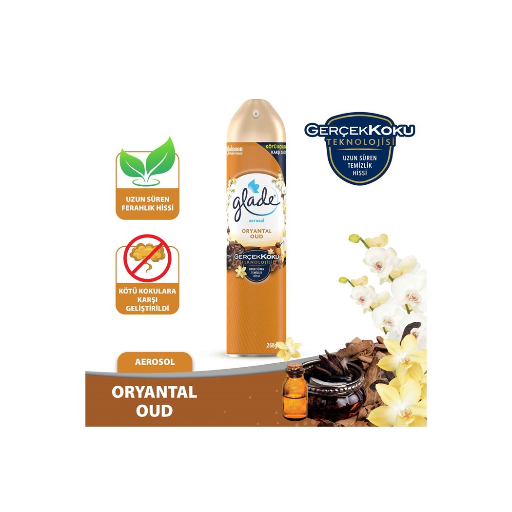 Hava Tazeleyici Aerosol Oda Kokusu Oryantal Oud 300ml