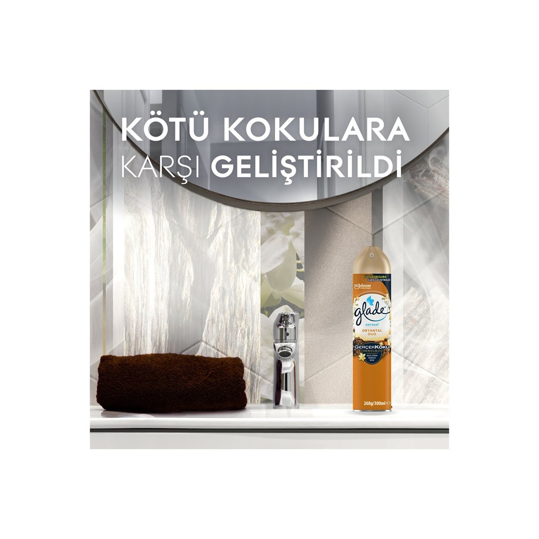 Hava Tazeleyici Aerosol Oda Kokusu Oryantal Oud 300ml