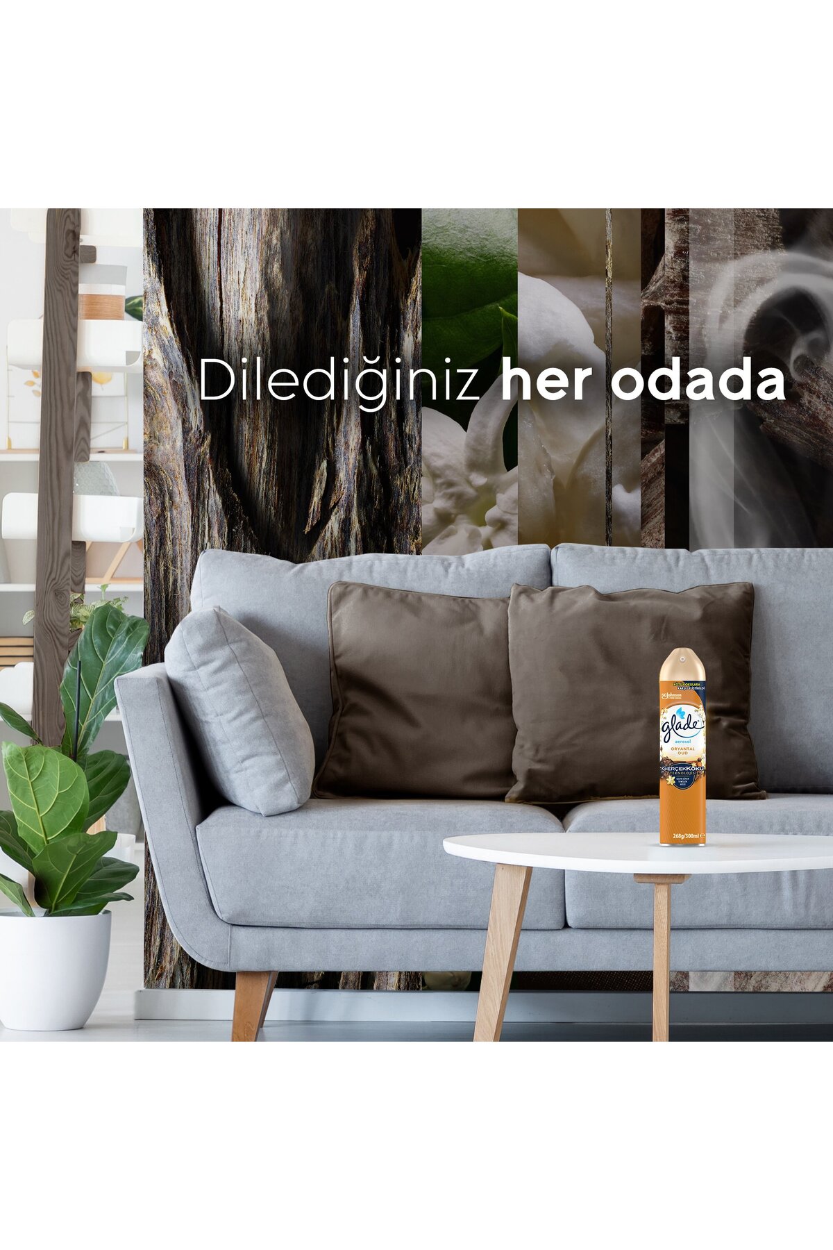 Hava Tazeleyici Aerosol Oda Kokusu Oryantal Oud 300ml