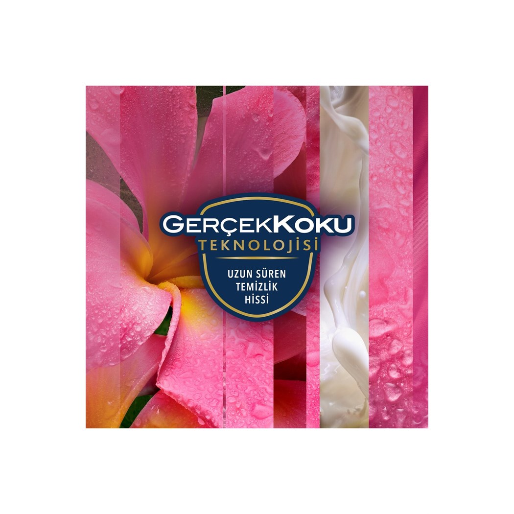 Hava Tazeleyici Aerosol, Oda Kokusu, Tropikal Floral, 300ml
