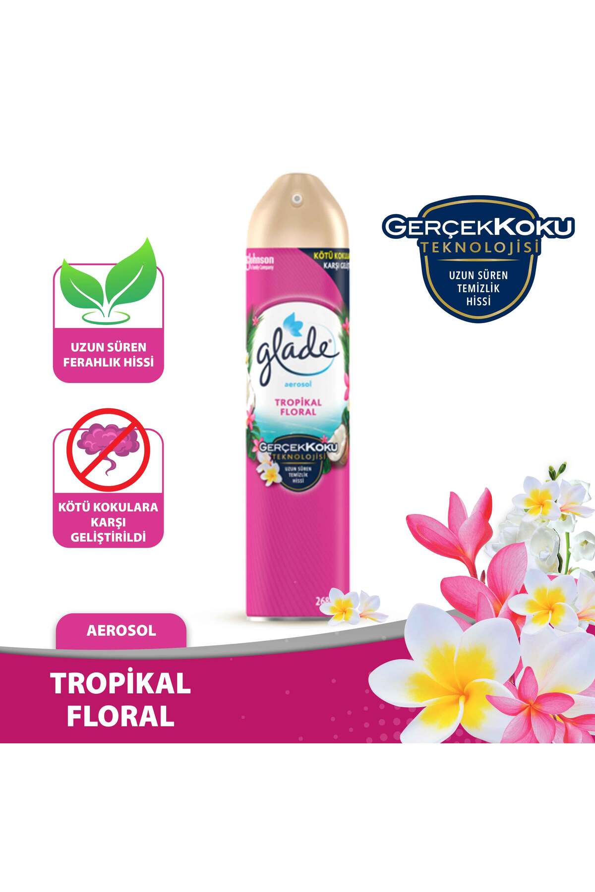 Hava Tazeleyici Aerosol, Oda Kokusu, Tropikal Floral, 300ml