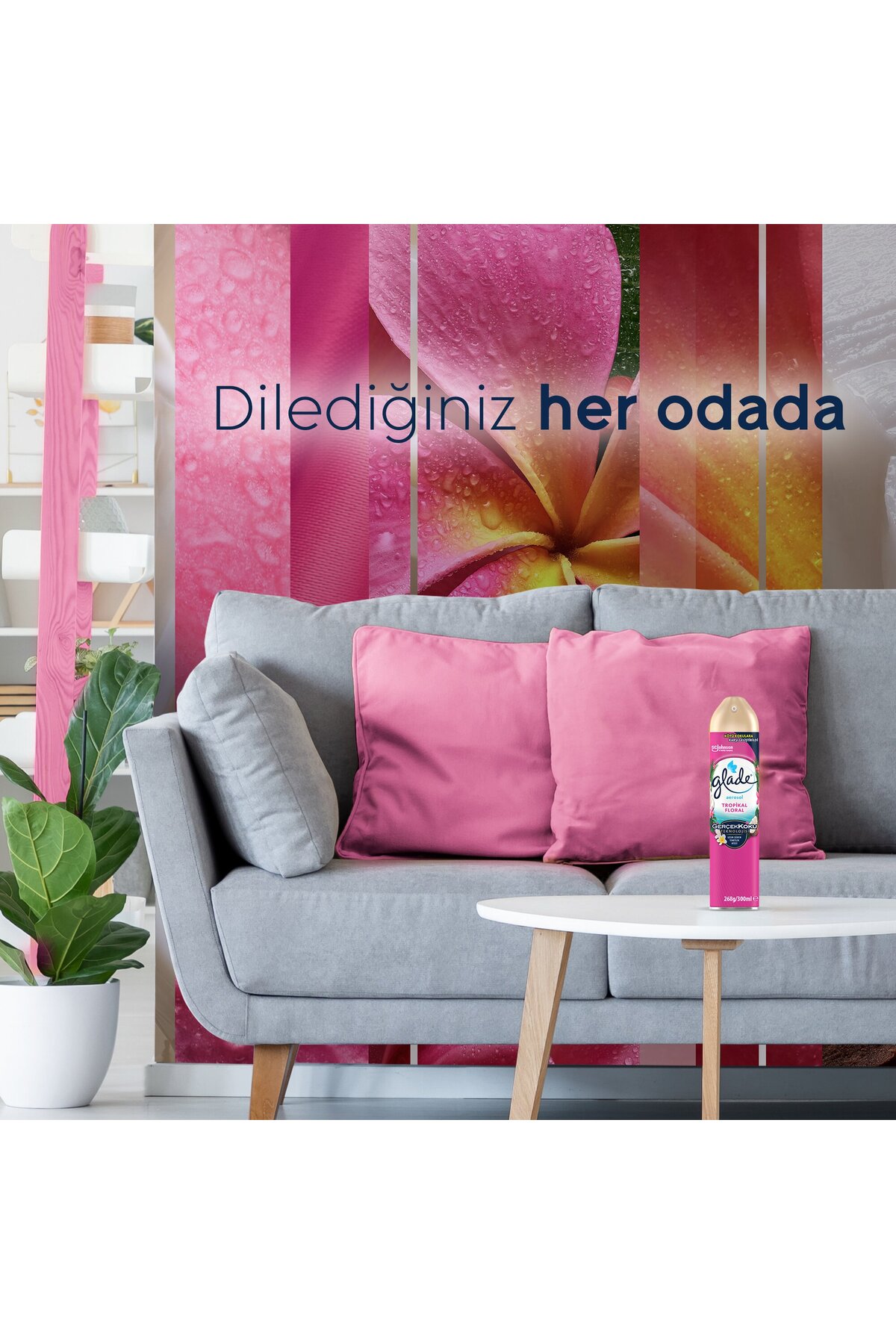 Hava Tazeleyici Aerosol, Oda Kokusu, Tropikal Floral, 300ml