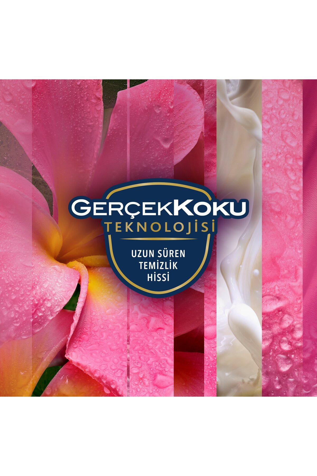 Hava Tazeleyici Aerosol, Oda Kokusu, Tropikal Floral, 300ml