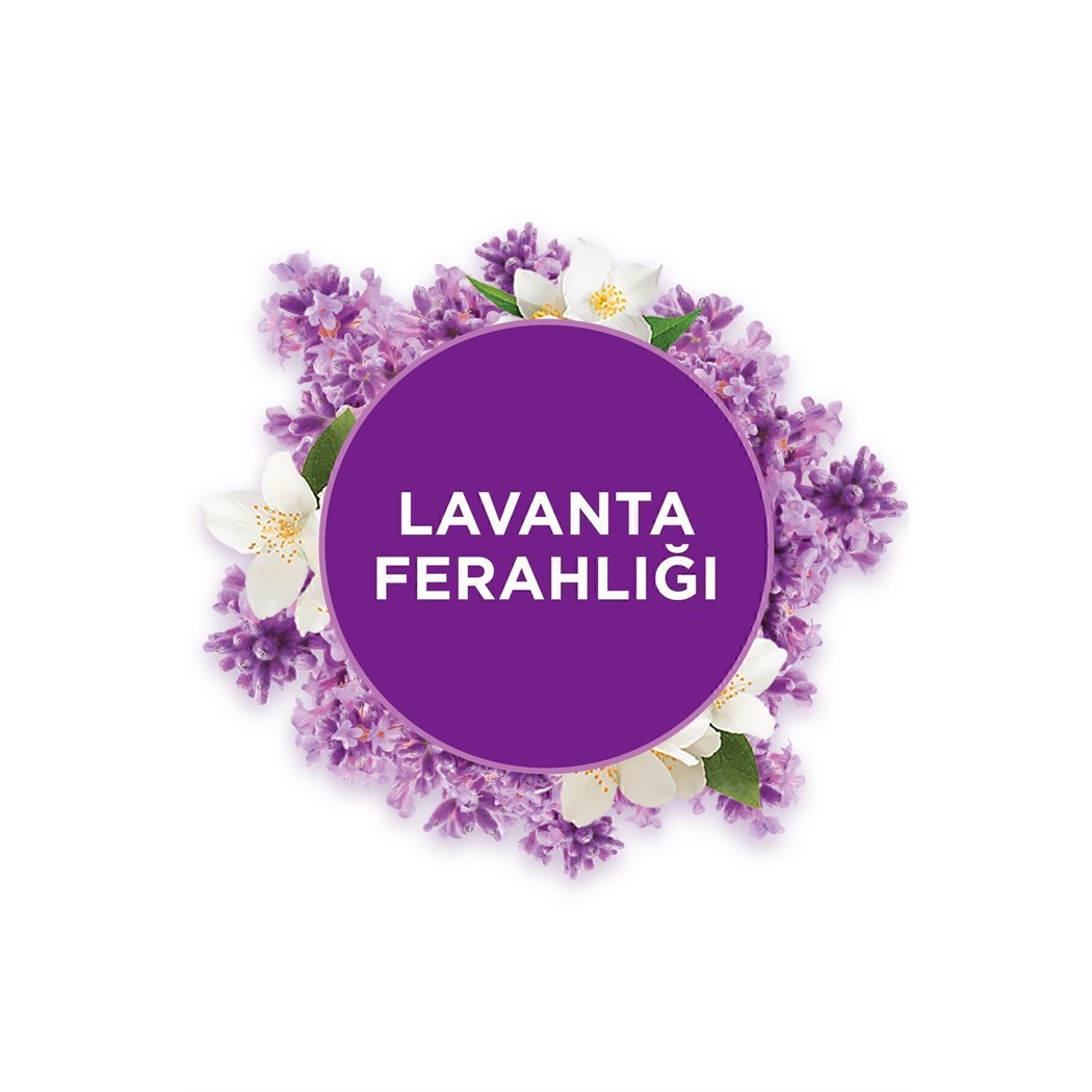 Banyo Cihaz Ve Yedek Lavanta, 10 Ml