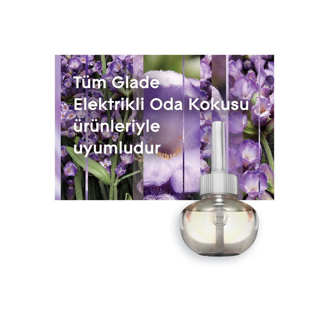 Elektrikli Oda Kokusu Yedek Lavanta