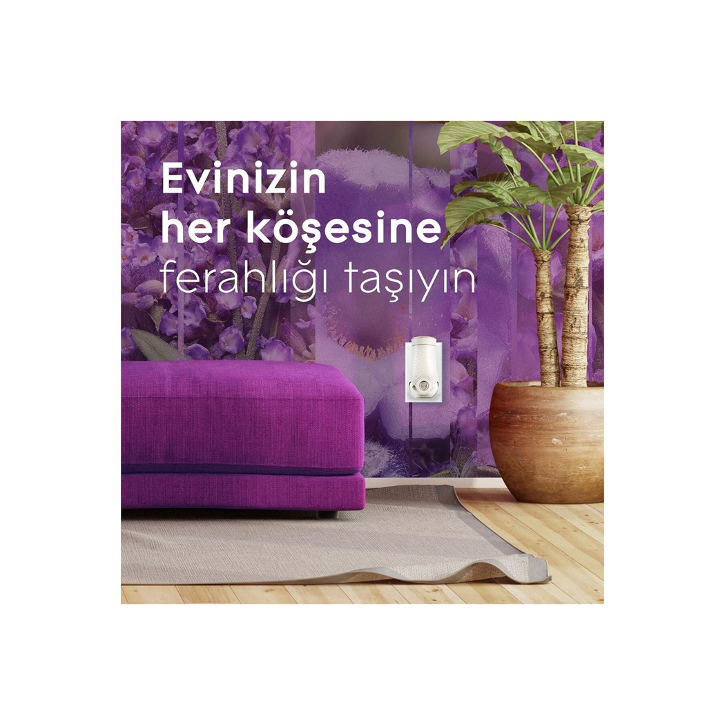 Elektrikli Oda Kokusu Yedek Lavanta