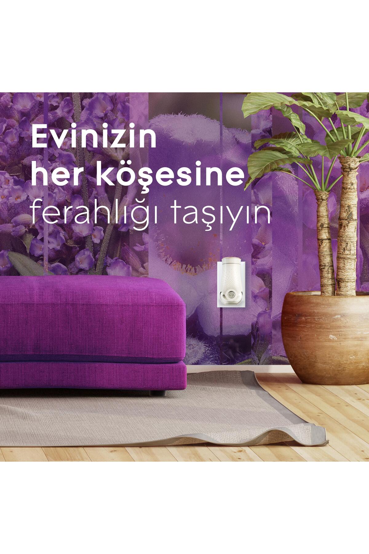 Elektrikli Oda Kokusu Yedek Lavanta