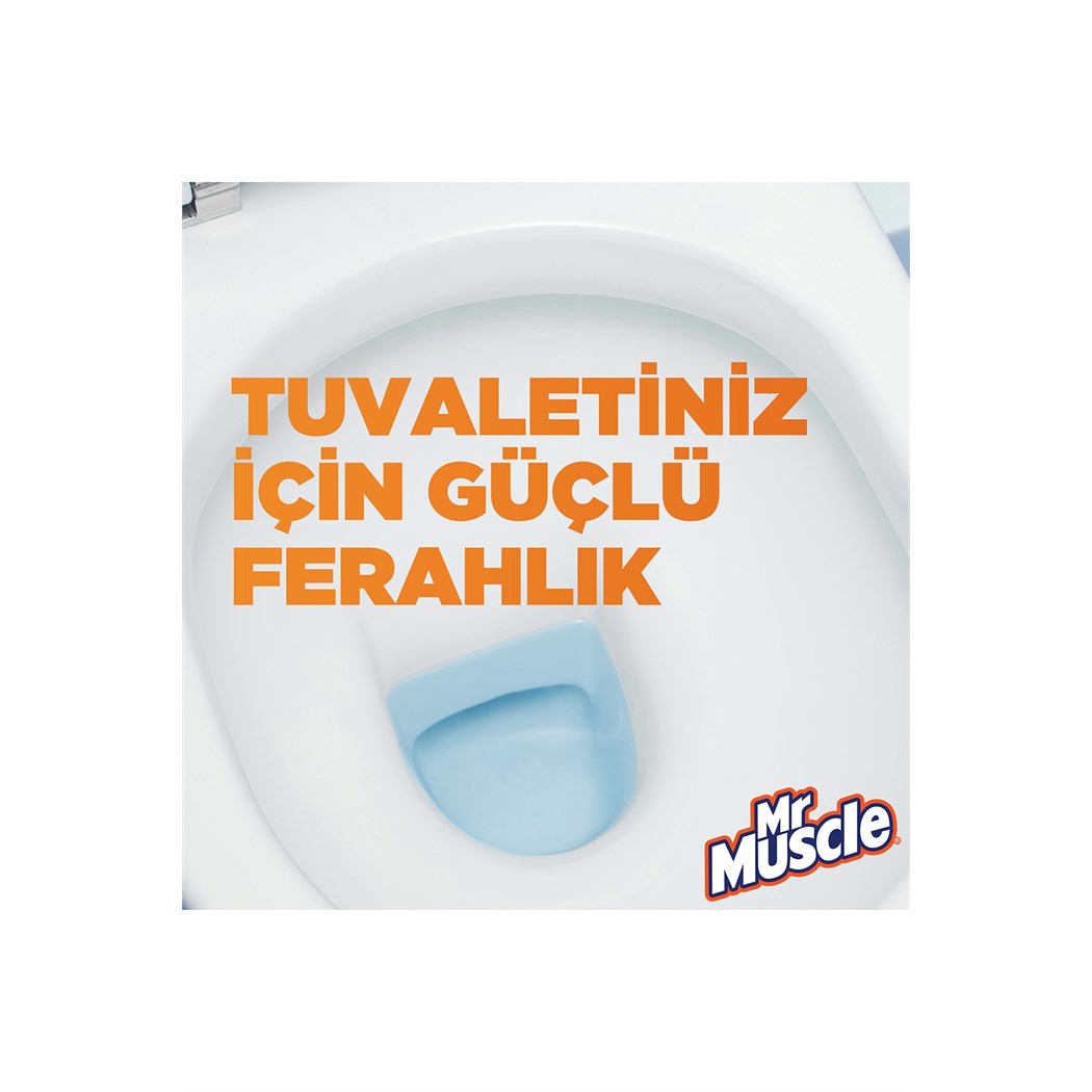 Mr.Muscle Rezervuar Blok 2 Li 100 Gr