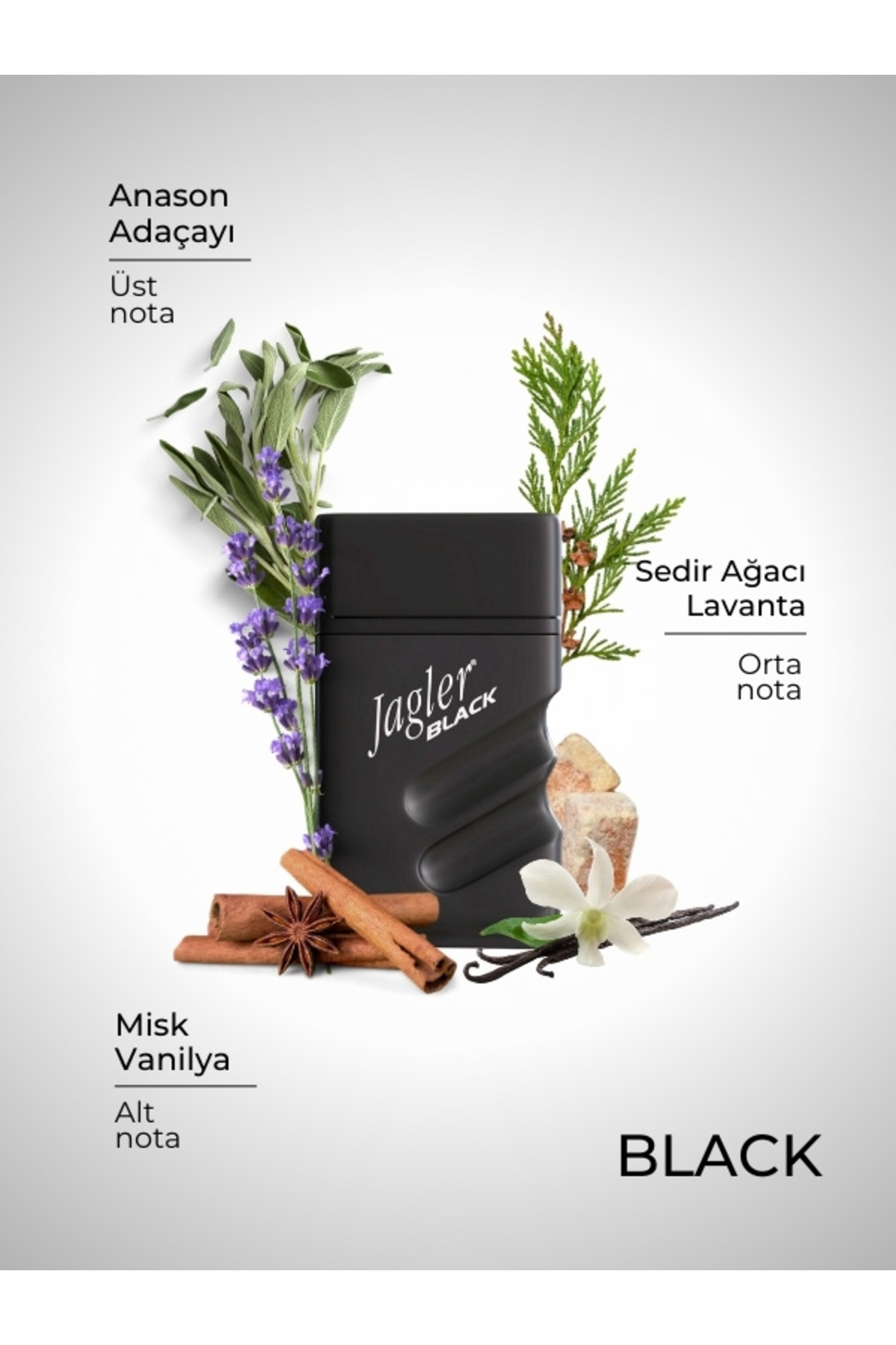 Black Erkek Parfüm Edt 90 ml