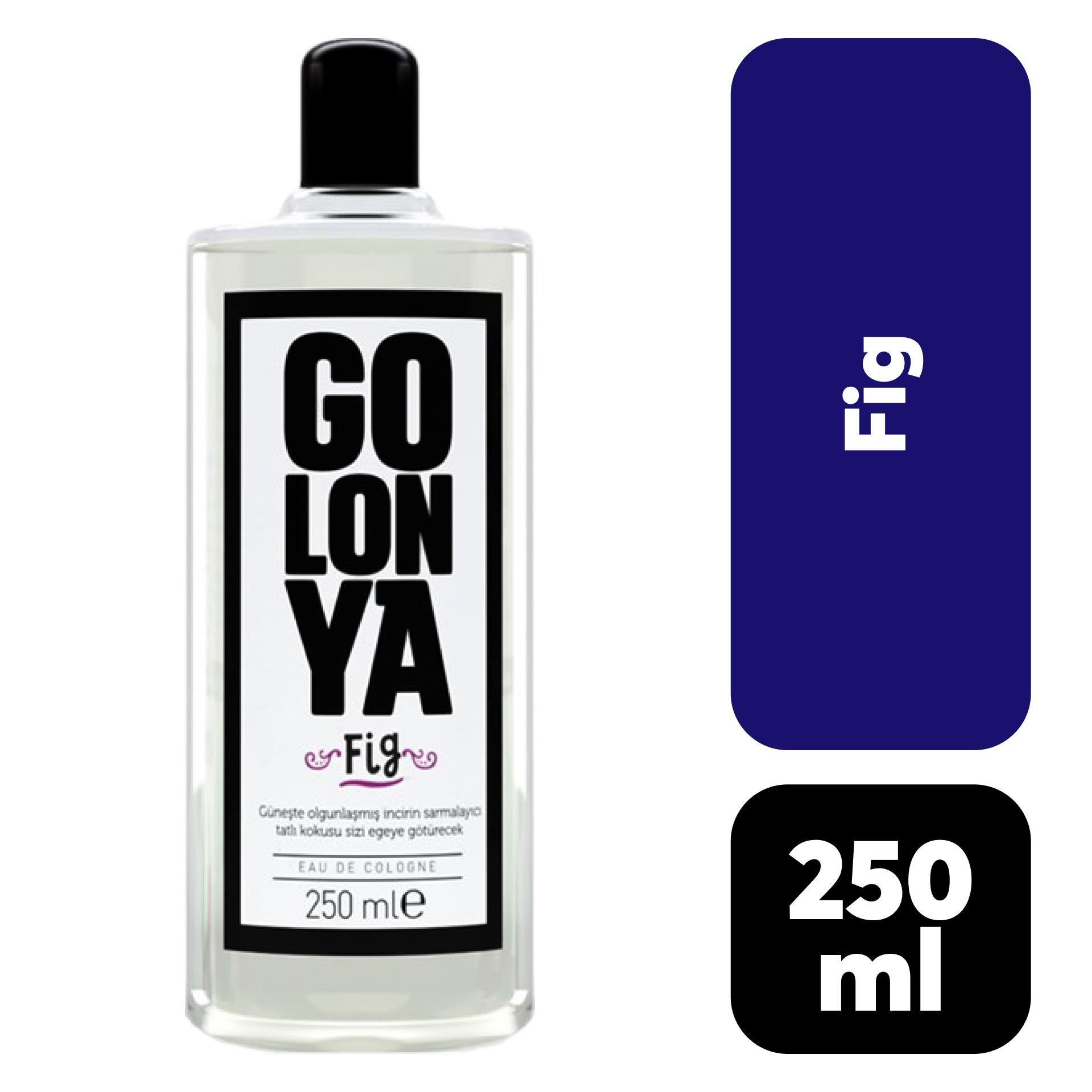Golonya Şişe Cam 250 ml Fig