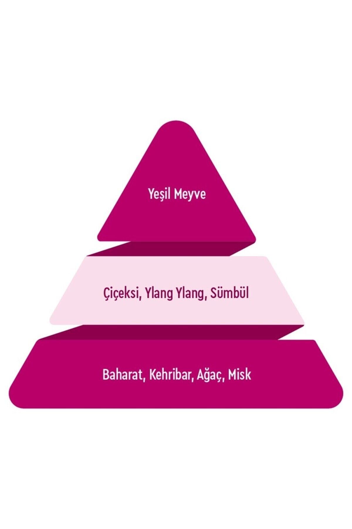 Classic Kadın Parfümü Edt 60 ml