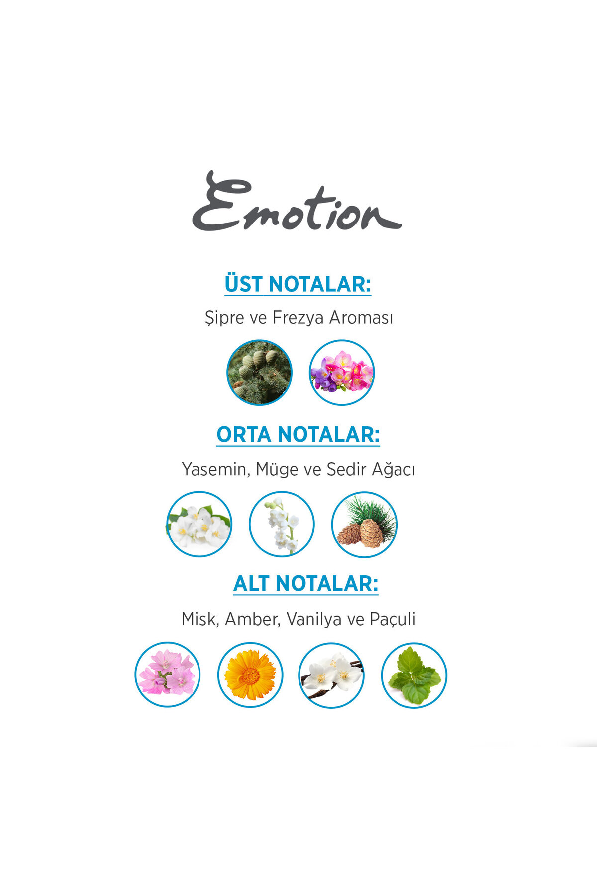 Ocean EDT Fresh Parfüm 50ml