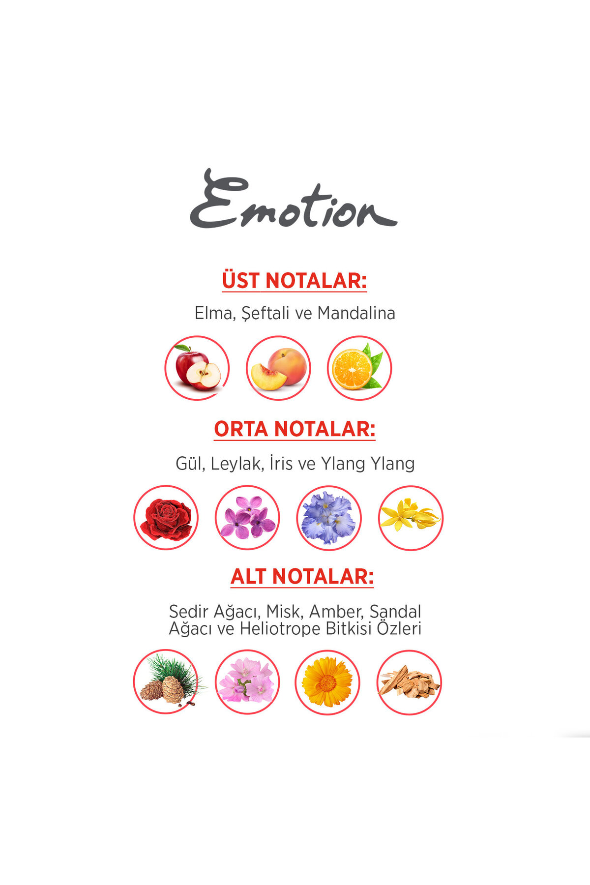 Romance Edt Parfüm 50ml