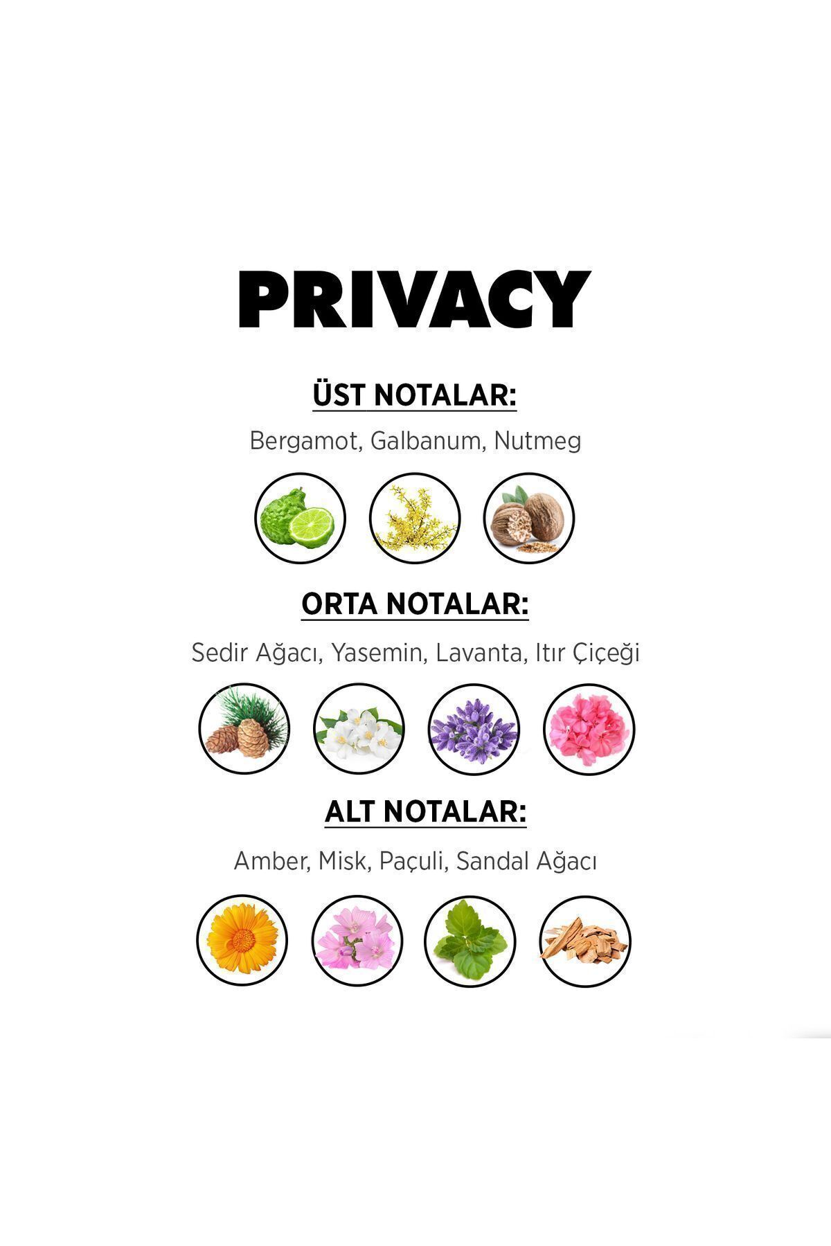 Gold Men Edt Erkek Parfüm 100ml