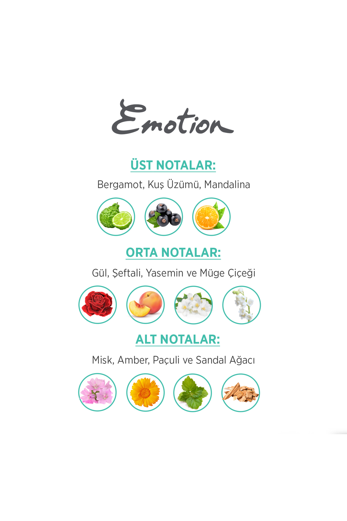 Aqua Kiss Edt Parfüm 50ml