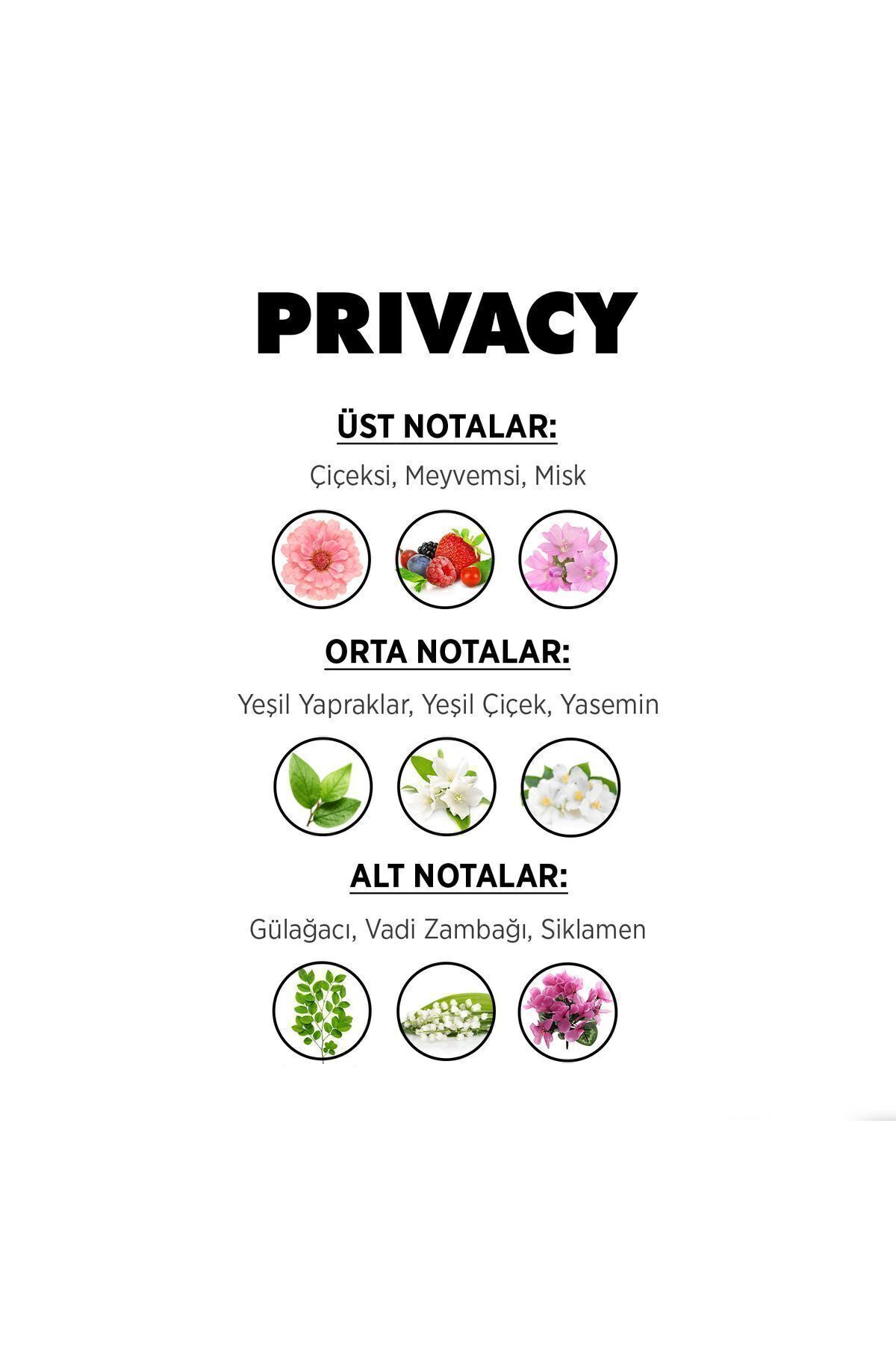 Woman Addiction Edt Kadın Parfüm 100ml