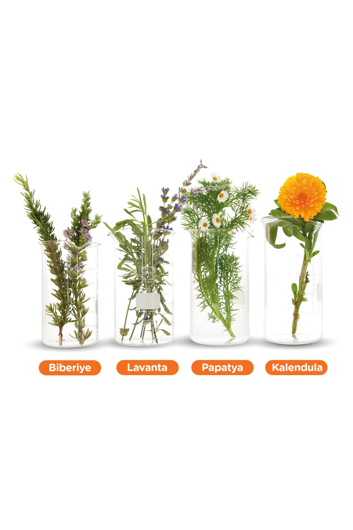 Çatlak Karşıtı & Nemlendirici Cilt Bakım Yağı 60 ml - YENİ FORMÜL