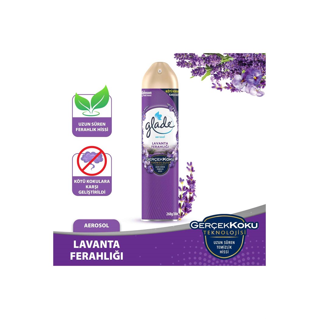 Hava Tazeleyici Aerosol, Oda Kokusu, Lavanta Ferahlığı, 300ml