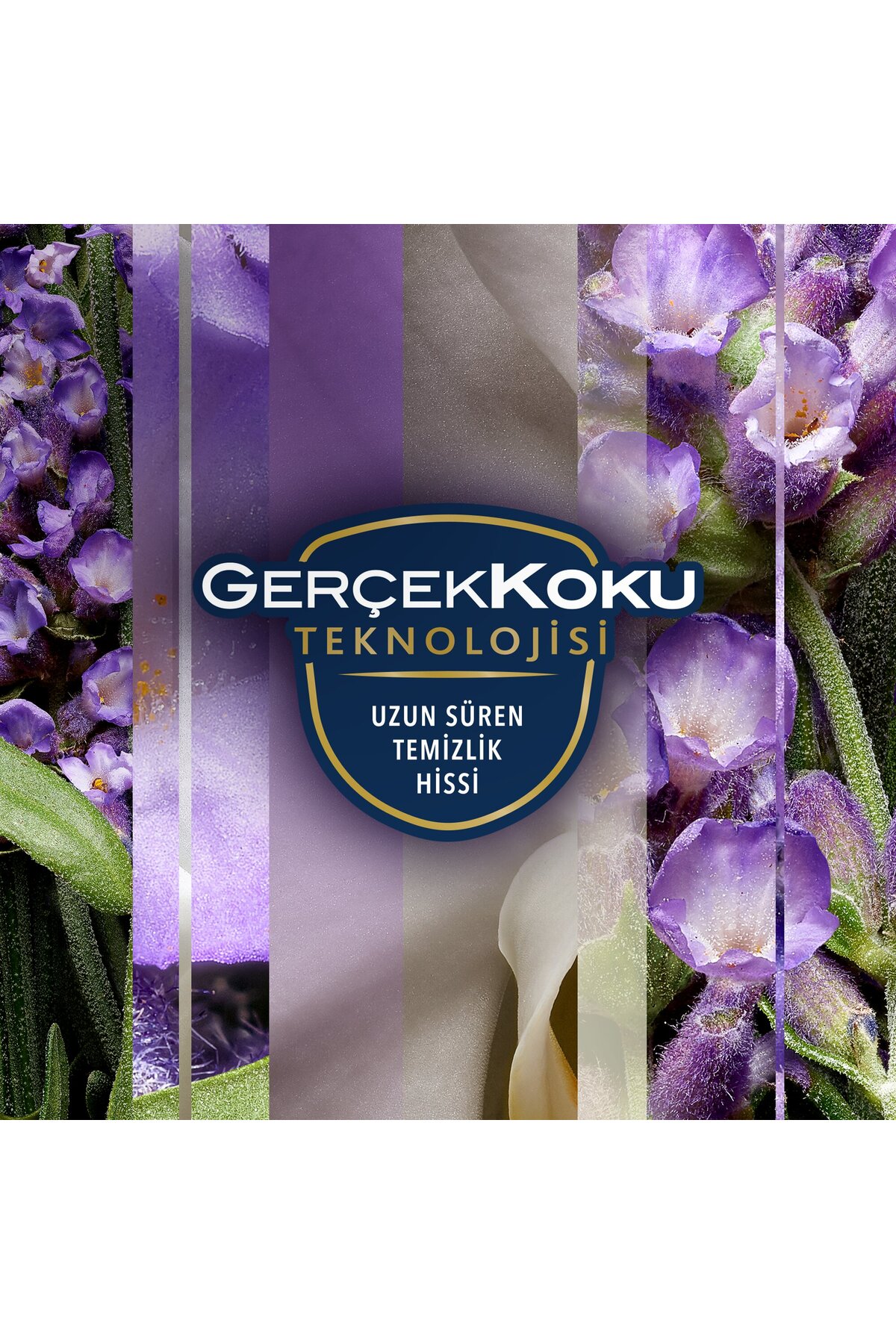 Hava Tazeleyici Aerosol, Oda Kokusu, Lavanta Ferahlığı, 300ml