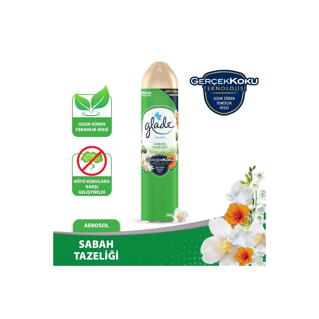 Hava Tazeleyici Aerosol Oda Kokusu Sabah Tazeliği 300ml
