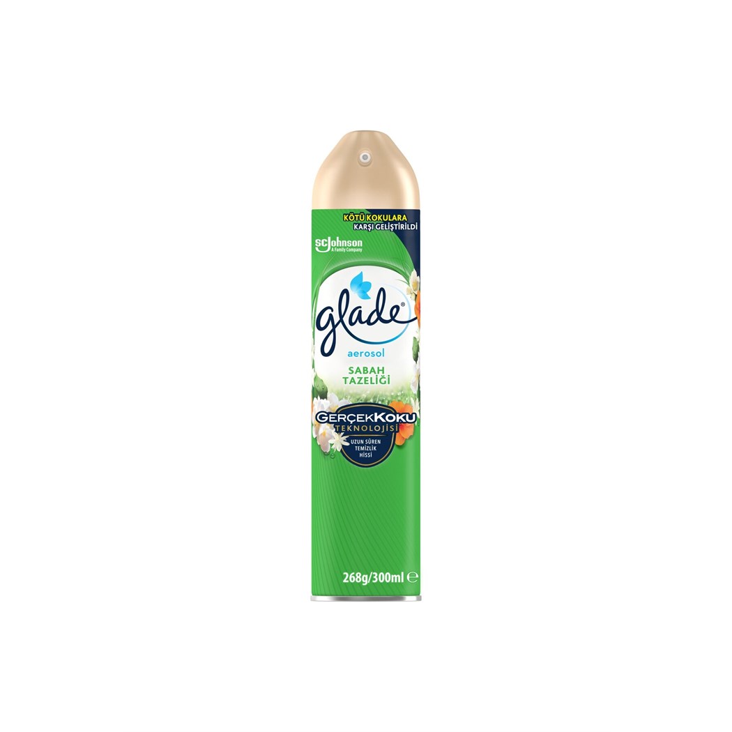 Hava Tazeleyici Aerosol Oda Kokusu Sabah Tazeliği 300ml