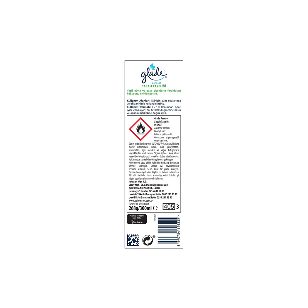 Hava Tazeleyici Aerosol Oda Kokusu Sabah Tazeliği 300ml