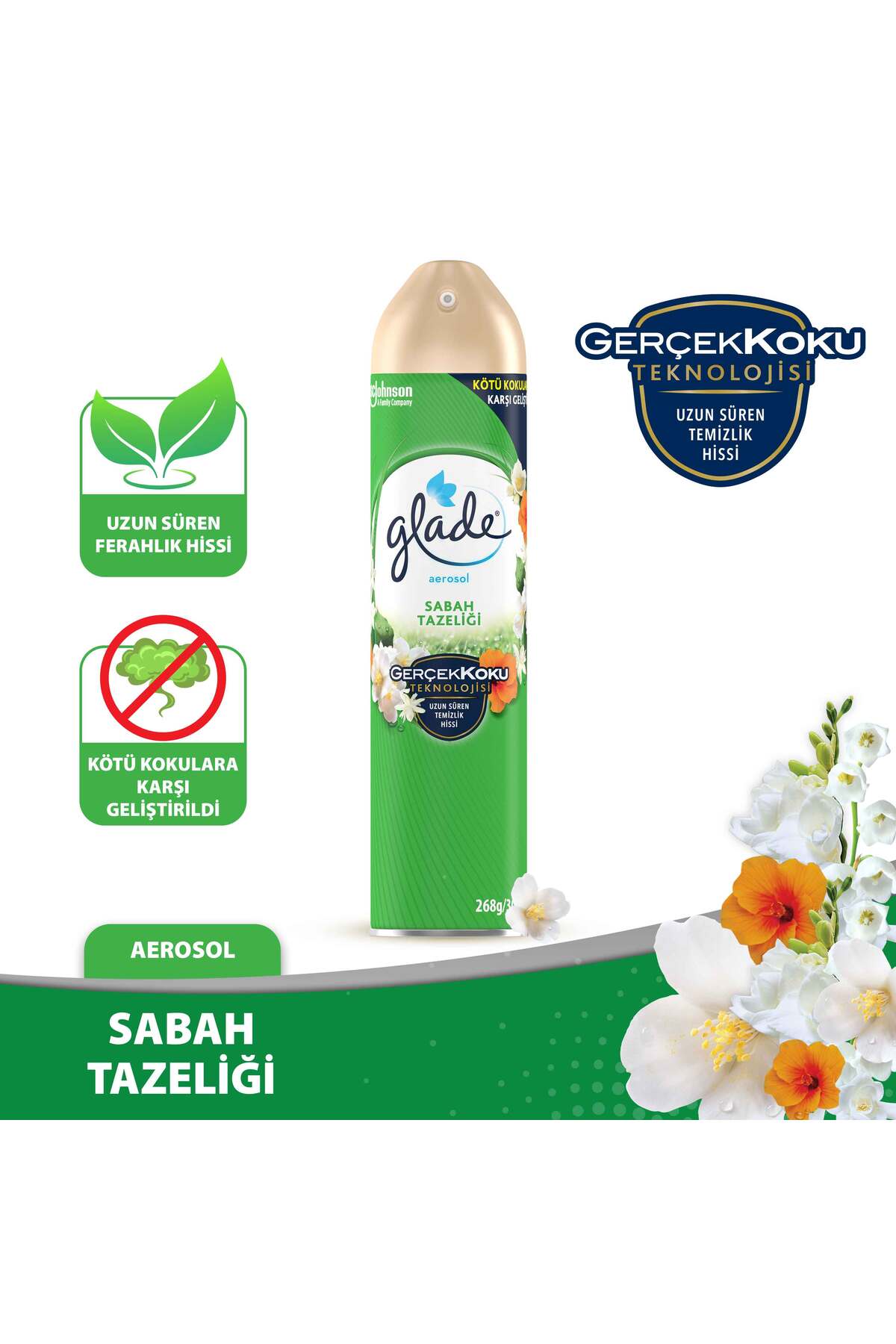 Hava Tazeleyici Aerosol Oda Kokusu Sabah Tazeliği 300ml