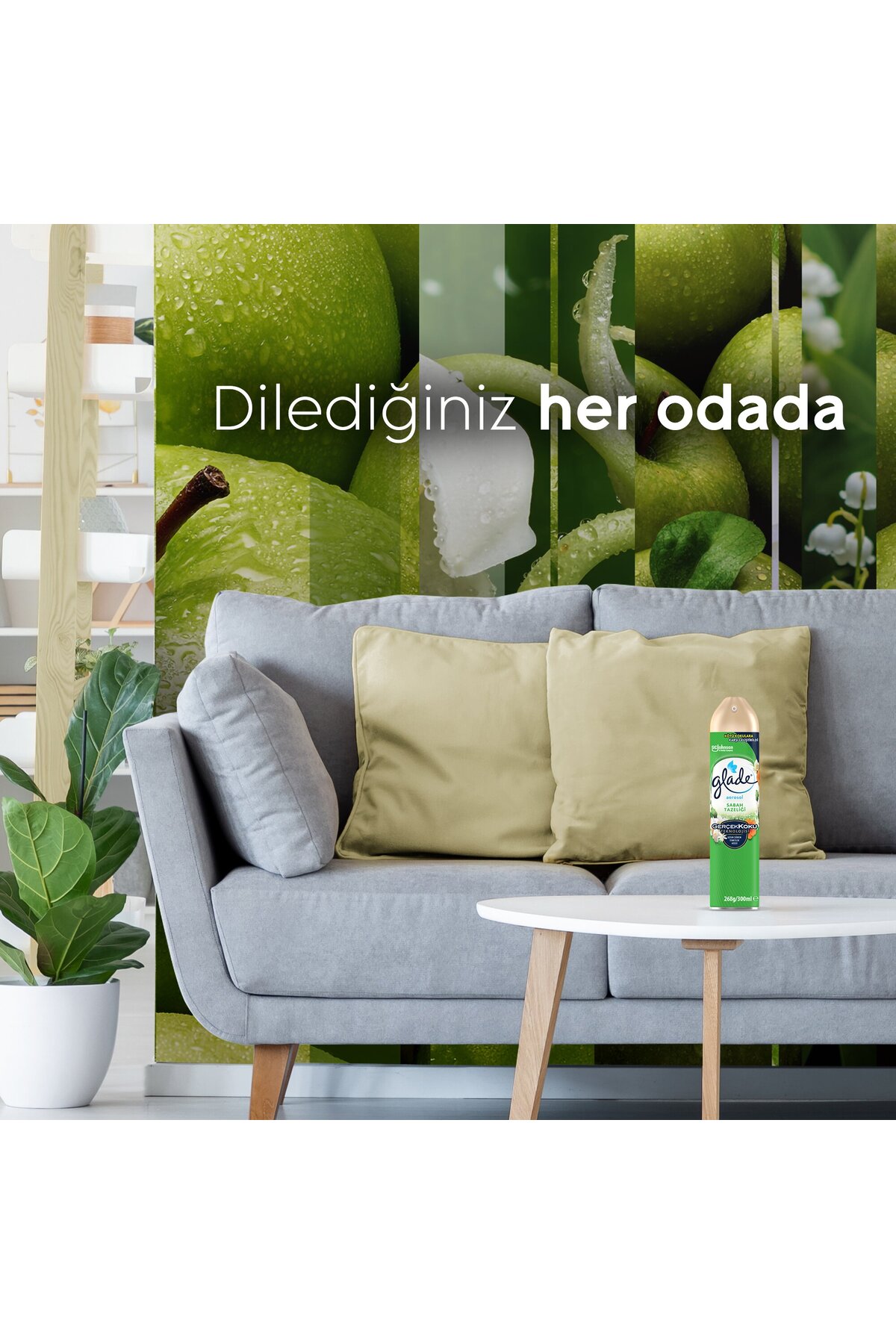 Hava Tazeleyici Aerosol Oda Kokusu Sabah Tazeliği 300ml