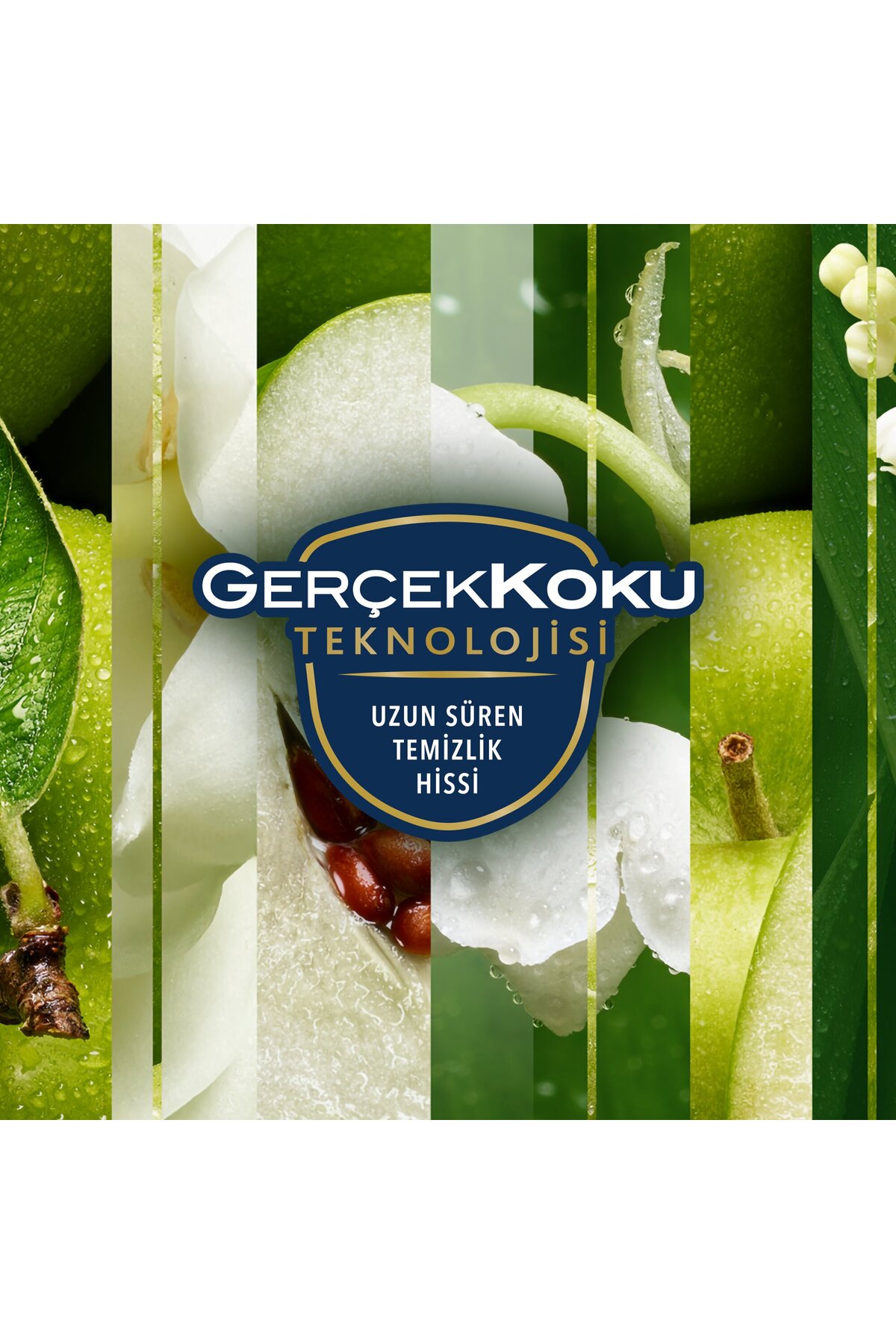 Hava Tazeleyici Aerosol Oda Kokusu Sabah Tazeliği 300ml