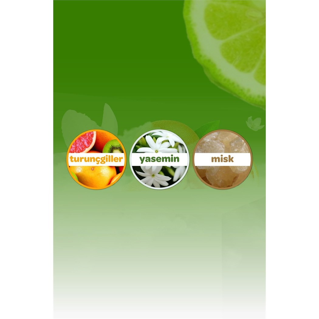 ORMAN ESİNTİSİ KOLONYA 150 ML-