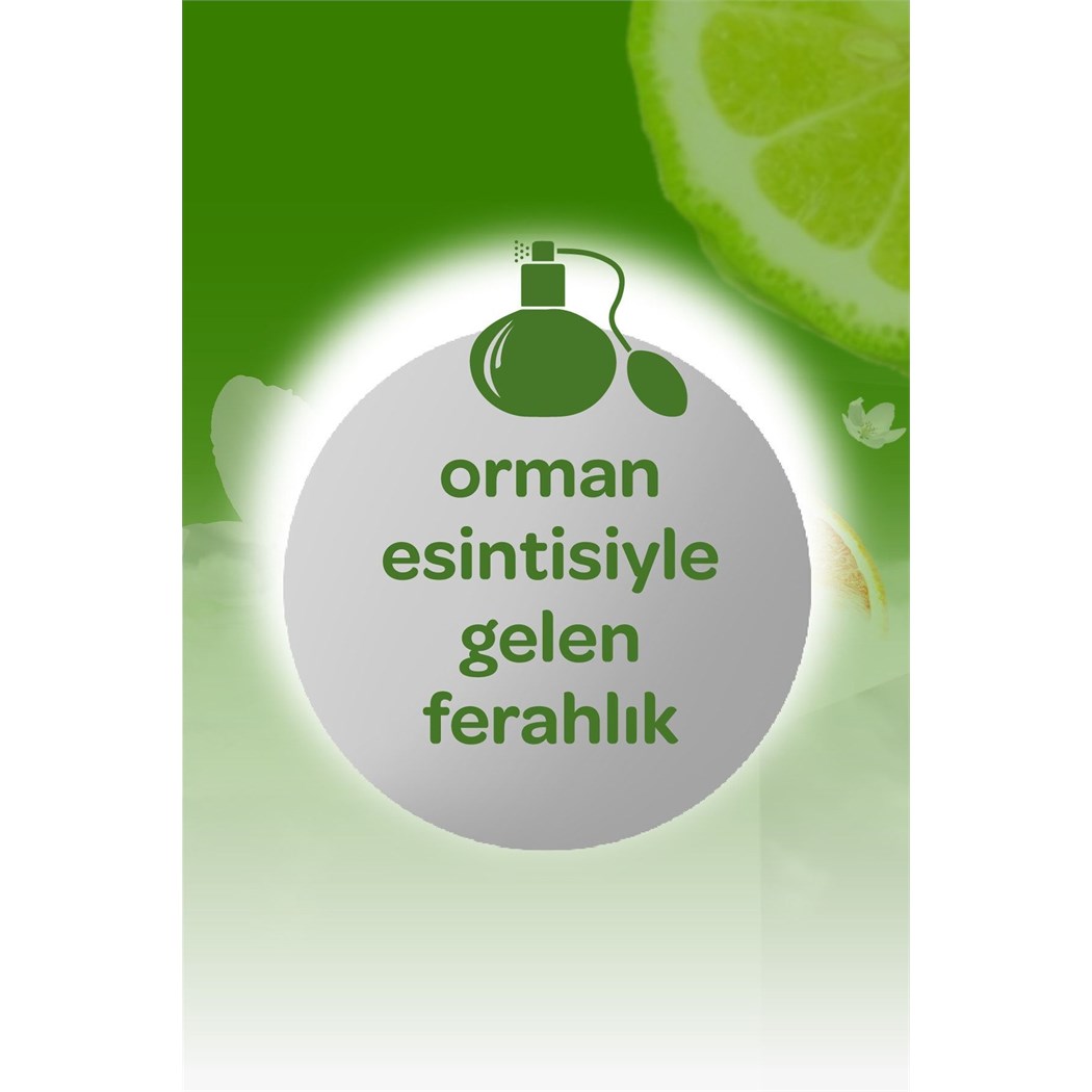 ORMAN ESİNTİSİ KOLONYA 150 ML-