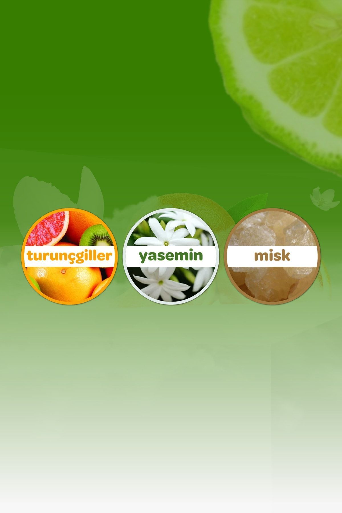 ORMAN ESİNTİSİ KOLONYA 150 ML-