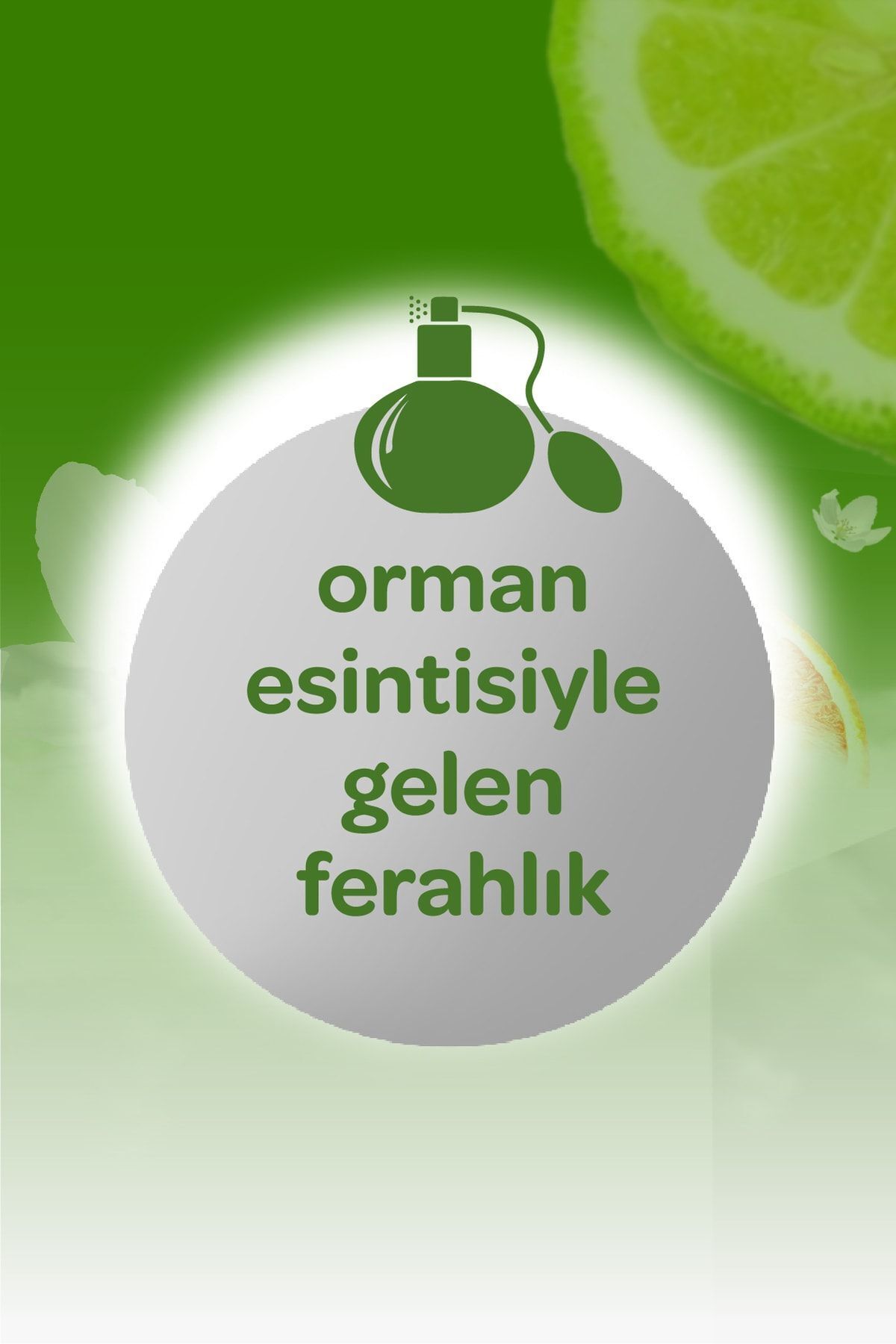 ORMAN ESİNTİSİ KOLONYA 150 ML-