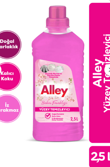 Alley Yüzey Temizleyici 2,5lt
