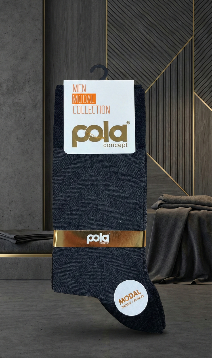 Pola Erkek Modal Dikişsiz Çorap 40-44